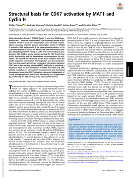 Structural Basis for CDK7 Activation by MAT1 and Cyclin H