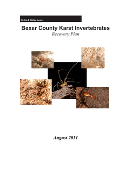 Bexar County Karst Invertebrates Recovery Plan