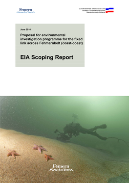 EIA Scoping Report