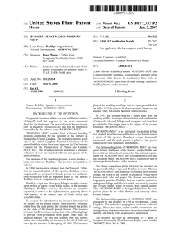 (12) United States Plant Patent (10) Patent No.: US PP17,332 P2 M00re (45) Date of Patent: Jan