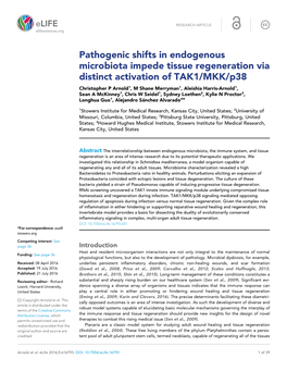 Pathogenic Shifts in Endogenous Microbiota Impede Tissue