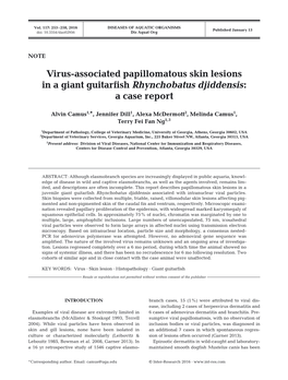 Virus-Associated Papillomatous Skin Lesions in a Giant Guitarfish Rhynchobatus Djiddensis: a Case Report