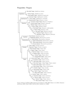 Trogonidae Species Tree