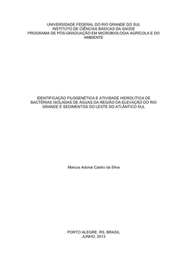 Universidade Federal Do Rio Grande Do Sul Instituto De Ciências Básicas Da Saúde Programa De Pós-Graduação Em Microbiologia Agrícola E Do Ambiente