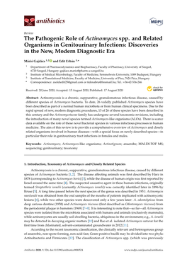 The Pathogenic Role of Actinomyces Spp. and Related Organisms in Genitourinary Infections: Discoveries in the New, Modern Diagnostic Era