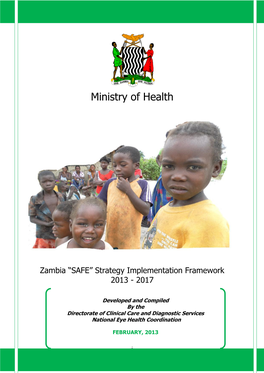 Zambia “SAFE” Strategy Implementation Framework 2013 - 2017