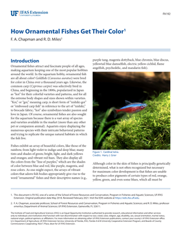 How Ornamental Fishes Get Their Color1 F