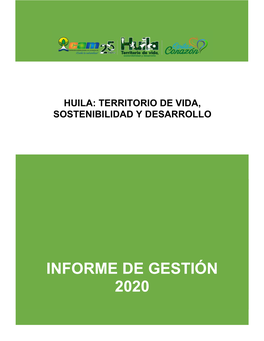 Informe De Gestión 2020