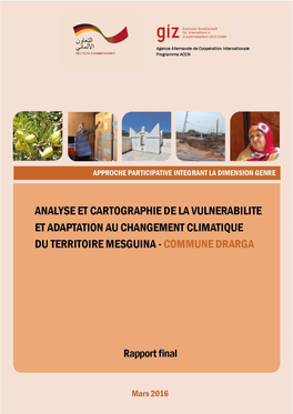 Analyse Participative De Vulnérabilité Du Territoire Mesguina
