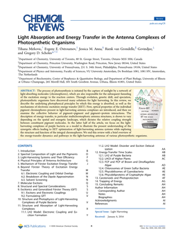 Light Absorption and Energy Transfer in the Antenna Complexes of Photosynthetic Organisms † ‡ § ∥ ⊥ Tihana Mirkovic, Evgeny E