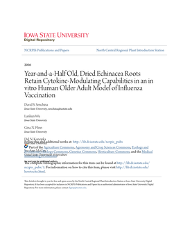 Year-And-A-Half Old, Dried Echinacea Roots Retain Cytokine-Modulating Capabilities in an in Vitro Human Older Adult Model of Influenza Vaccination David S