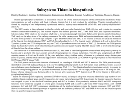 Subsystem: Thiamin Biosynthesis Dmitry Rodionov, Institute for Information Transmission Problems, Russian Academy of Sciences, Moscow, Russia