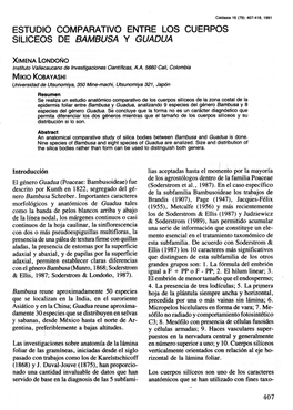 Estudio Comparativo Entre Los Cuerpos Siliceos De Bambusa Y Guadua