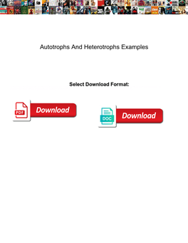 Autotrophs and Heterotrophs Examples