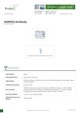 HNRPH3 Antibody Cat