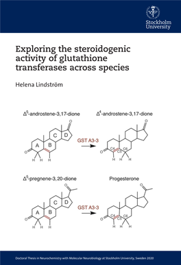 Exploring the Steroidogenic Activity of Glutathione Transferases Across Species