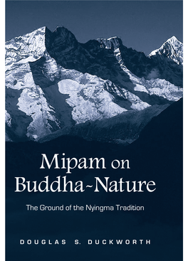 Mipam on Buddha-Nature : the Ground of the Nyingma Tradition / Douglas S