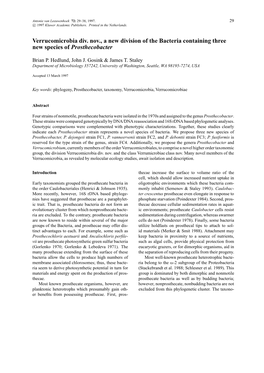 Verrucomicrobia Div. Nov., a New Division of the Bacteria Containing Three New Species of Prosthecobacter