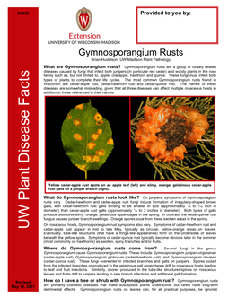 Gymnosporangium Rusts Brian Hudelson, UW-Madison Plant Pathology