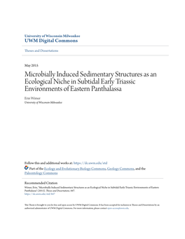 Microbially Induced Sedimentary Structures As an Ecological Niche