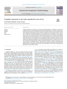 Uroplakin Expression in the Male Reproductive Tract of Rat T ⁎ Suresh Babu Munipalli, Suresh Yenugu