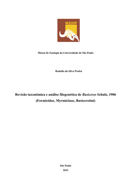 Revisão Taxonômica E Análise Filogenética De Basiceros Schulz, 1906 (Formicidae, Myrmicinae, Basicerotini)