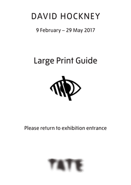 DAVID HOCKNEY Large Print Guide