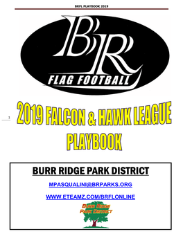 Brfl Playbook 2019