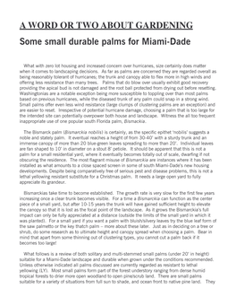 Some Small Durable Palms for Miami-Dade