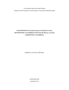 1 Universidade Federal Da Grande Dourados Programa De Pós