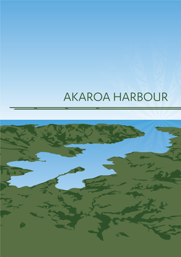 Download Akaroa Harbour