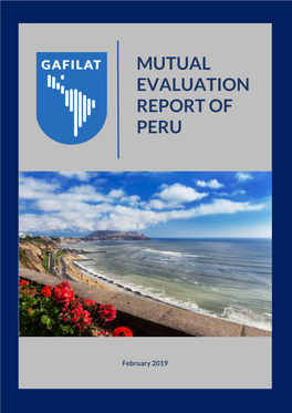 Mutual Evaluation Report of Peru