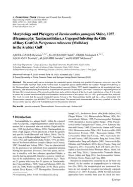 Morphology and Phylogeny of Taeniacanthus Yamagutiishiino, 1957 (Hexanauplia: Taeniacanthidae), a Copepod Infecting the Gills Of