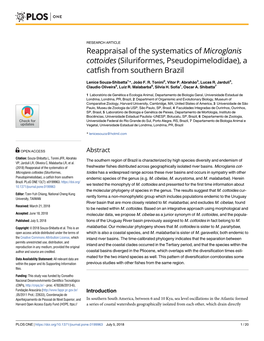 Reappraisal of the Systematics of Microglanis Cottoides (Siluriformes, Pseudopimelodidae), a Catfish from Southern Brazil