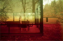 Reflections on Glass Houses Noam M. Elcott