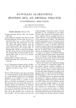 Watson, 1882), an Abyssal Volutid (Gastropoda: Mollusca