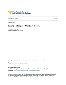 Shareholder Litigation After the Meltdown