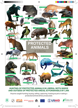 Protected Animals of Liberia Species List A4 2019.Indd 1 15/10/2019 16:27 Protectedof Liberia ANIMALS