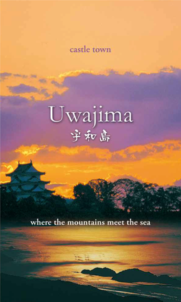 Discover Uwajima! When You Arrive at Uwajima Station, the Final Destination on Shikoku’S Train Line, Your Travels Really Begin