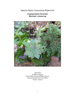 Species Status Assessment for Graptopetalum Bartramii