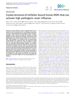 Crystal Structure of Inhibitor-Bound Human MSPL That Can Activate High Pathogenic Avian Inﬂuenza