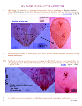 Key to the Genera of the Aspidiotini