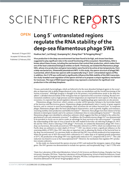 Untranslated Regions Regulate the RNA Stability of the Deep-Sea