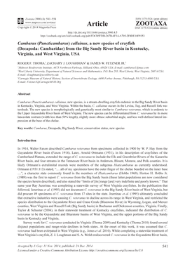 Cambarus (Puncticambarus) Callainus, a New Species of Crayfish (Decapoda: Cambaridae) from the Big Sandy River Basin in Kentucky, Virginia, and West Virginia, USA