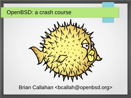 Openbsd: a Crash Course