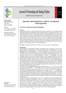 Specific Mitochondrial Ss-Trnas in Phylum Chaetognatha