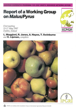 Report of a Working Group on Malus/Pyrus