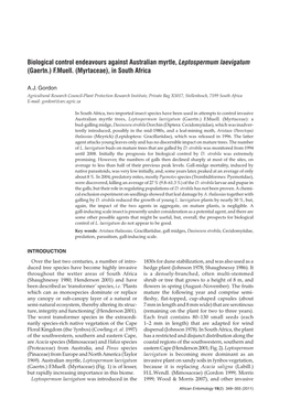 Biological Control Endeavours Against Australian Myrtle, Leptospermum Laevigatum (Gaertn.) F.Muell