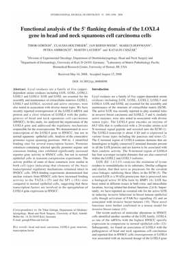 Functional Analysis of the 5' Flanking Domain of the LOXL4 Gene in Head and Neck Squamous Cell Carcinoma Cells