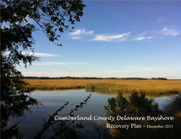 Cumberland County Delaware Bayshore Recovery Plan - December 2013 Letters of Support